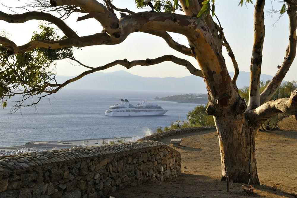 Κάστρο Πανηγυράκη Ξενοδοχείο Mykonos Town Εξωτερικό φωτογραφία